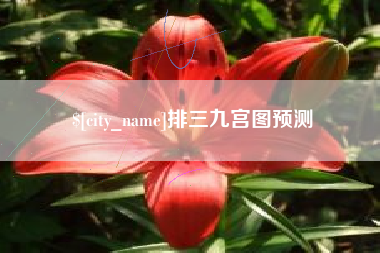 漯河排三九宫图预测