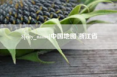 漯河中国地图 浙江省