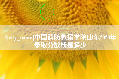 漯河中国消防救援学院山东2020年录取分数线是多少