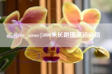 漯河5000米长跑国家运动员