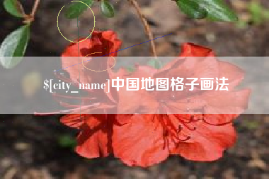 漯河中国地图格子画法