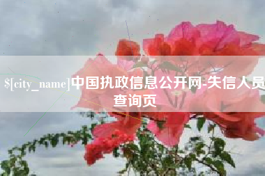 漯河中国执政信息公开网-失信人员查询页