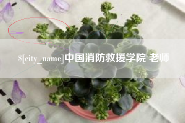 漯河中国消防救援学院 老师