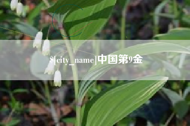 漯河中国第9金