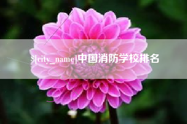 漯河中国消防学校排名