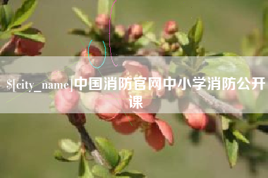 漯河中国消防官网中小学消防公开课