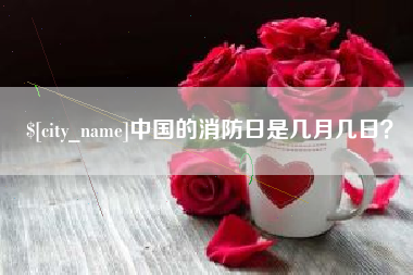 漯河中国的消防日是几月几日？