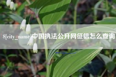 漯河中国执法公开网征信怎么查询