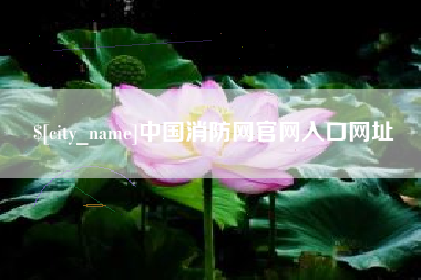 漯河中国消防网官网入口网址