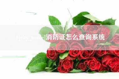 漯河消防证怎么查询系统