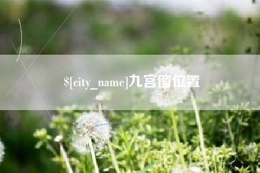 漯河九宫图位置