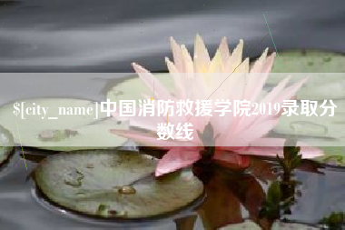 漯河中国消防救援学院2019录取分数线