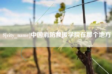 漯河中国消防救援学院在那个地方