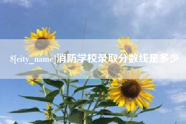 漯河消防学校录取分数线是多少