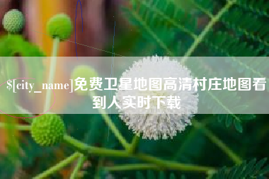 漯河免费卫星地图高清村庄地图看到人实时下载