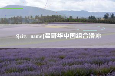 漯河温哥华中国组合滑冰