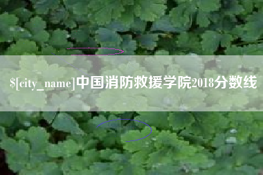 漯河中国消防救援学院2018分数线