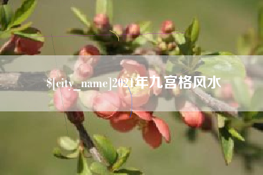漯河2021年九宫格风水