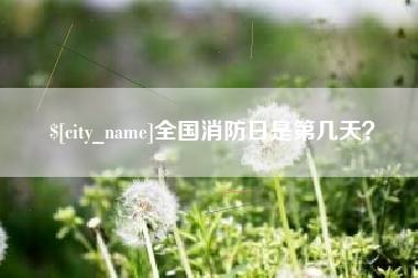 漯河全国消防日是第几天？