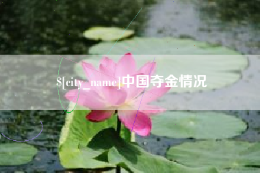 漯河中国夺金情况