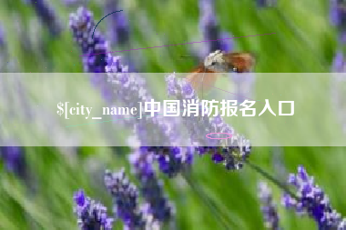 漯河中国消防报名入口