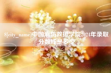 漯河中国消防救援学院2024年录取分数线是多少