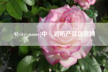 漯河中囯消防产品信息网