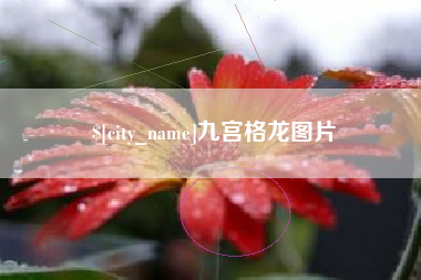 漯河九宫格龙图片