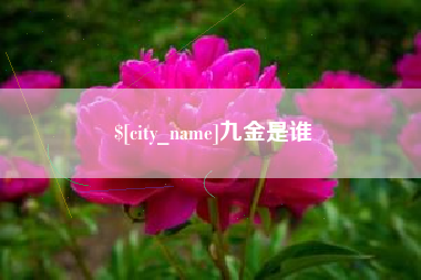 漯河九金是谁