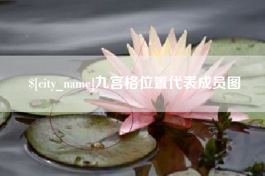 漯河九宫格位置代表成员图