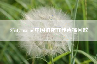 漯河中国消防在线直播回放