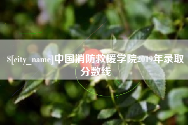 漯河中国消防救援学院2019年录取分数线