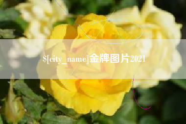 漯河金牌图片2021