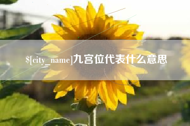 漯河九宫位代表什么意思