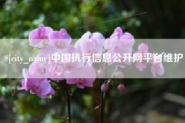 漯河中国执行信息公开网平台维护