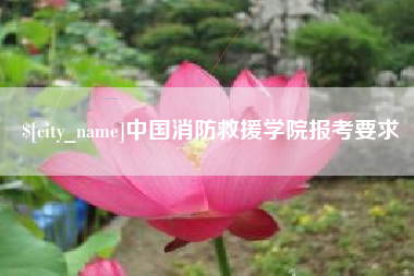 漯河中国消防救援学院报考要求