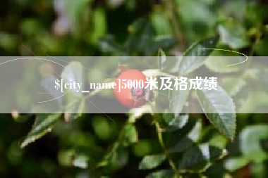 漯河5000米及格成绩