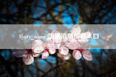 漯河国家消防报名入口
