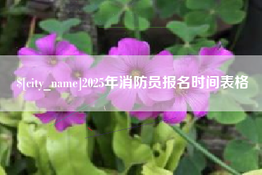 漯河2025年消防员报名时间表格