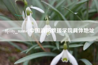 漯河中国消防救援学院具体地址