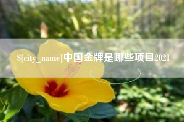 漯河中国金牌是哪些项目2021