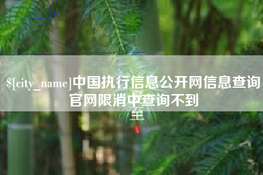 漯河中国执行信息公开网信息查询官网限消中查询不到
