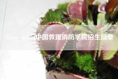 漯河中国救援消防学院招生简章
