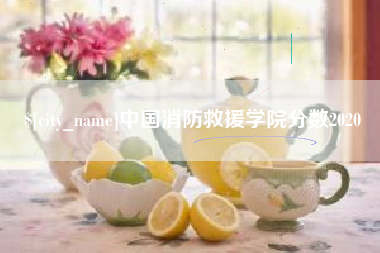 漯河中国消防救援学院分数2020