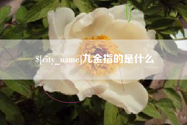 漯河九金指的是什么