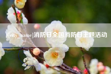 漯河消防日全国消防日主题活动