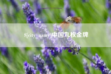 漯河中国九枚金牌