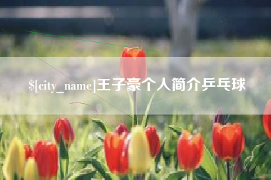 漯河王子豪个人简介乒乓球