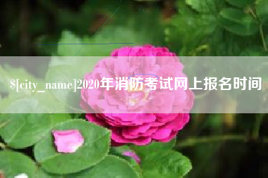 漯河2020年消防考试网上报名时间