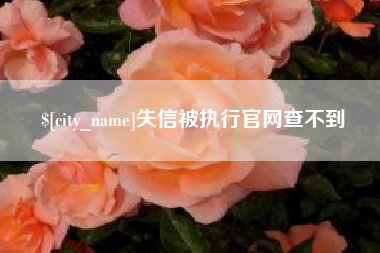 漯河失信被执行官网查不到